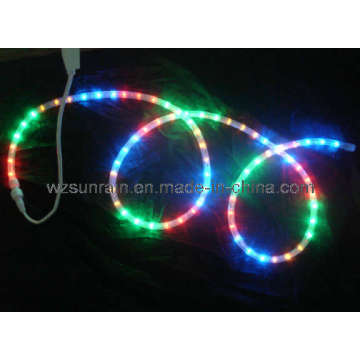 LED Rope Light (SRRLH-2W)